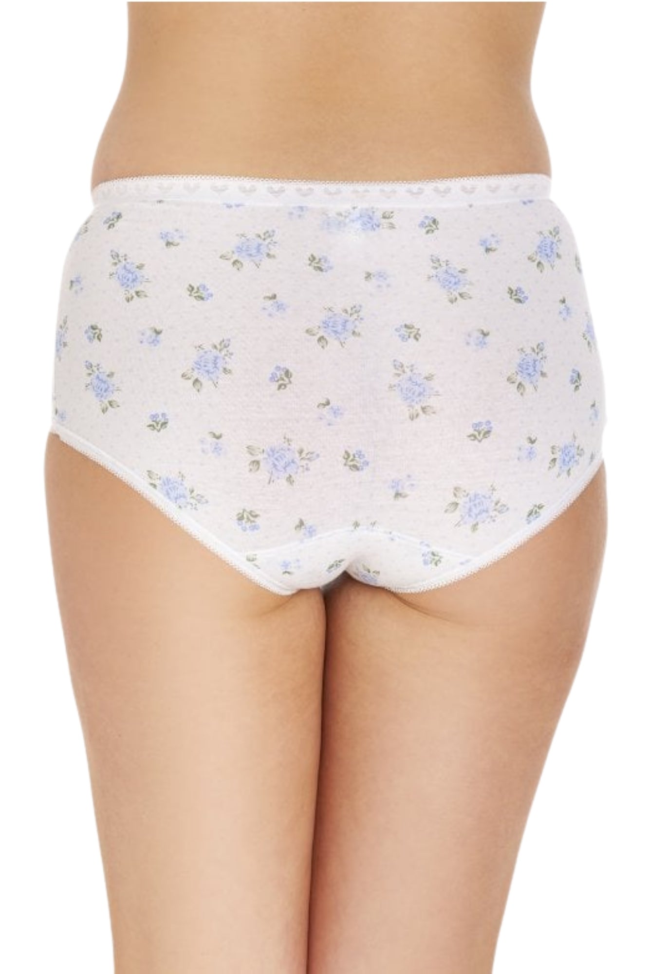 Camille Womens Printed Three Pack Cotton Maxi Briefs