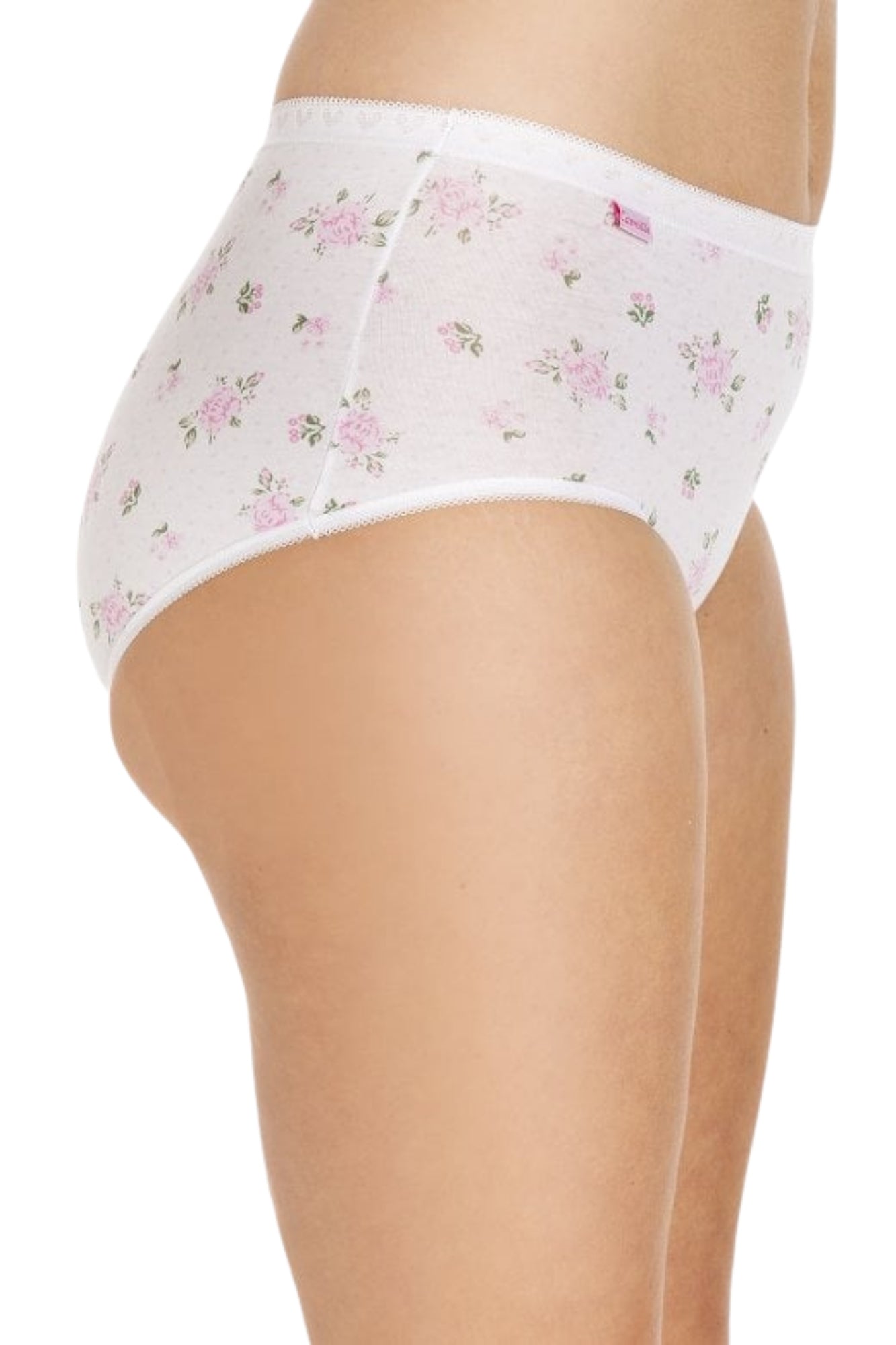 Camille Womens Printed Three Pack Cotton Maxi Briefs